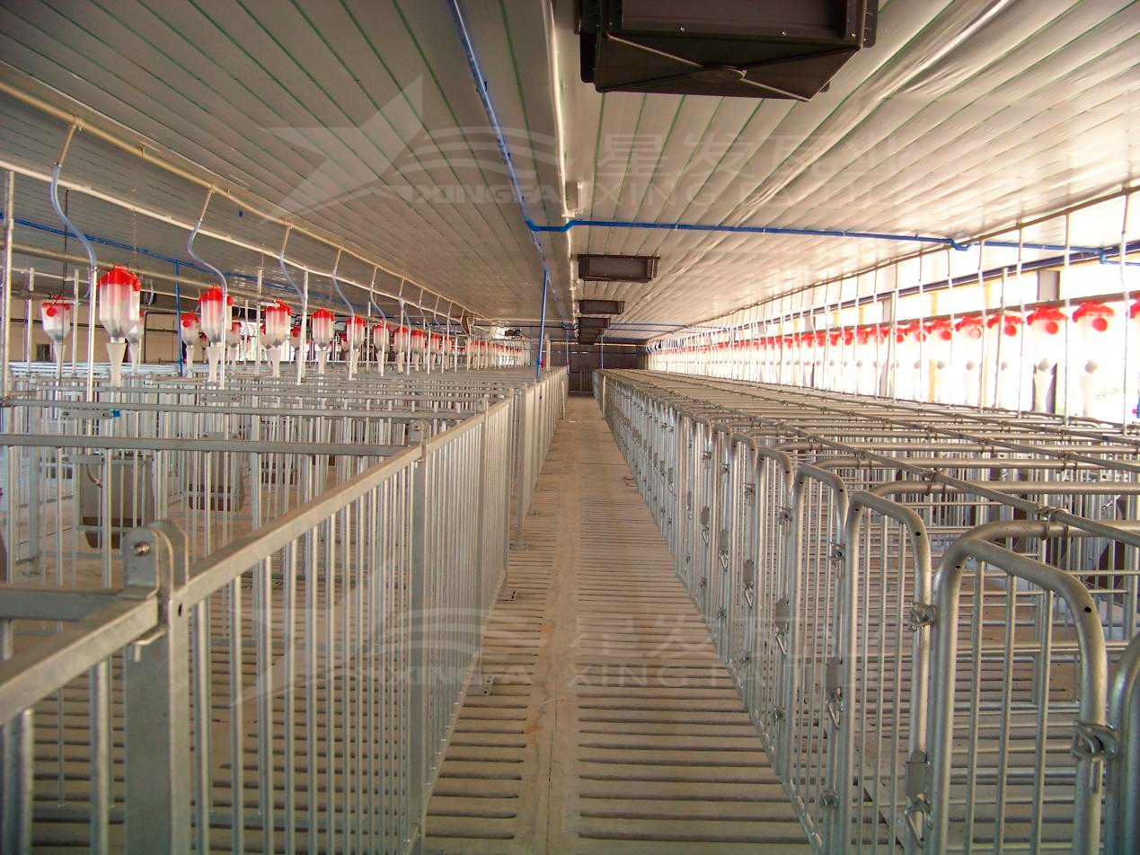 高溫來襲，養(yǎng)殖場安裝樹脂瓦，為小動物營造避暑勝地