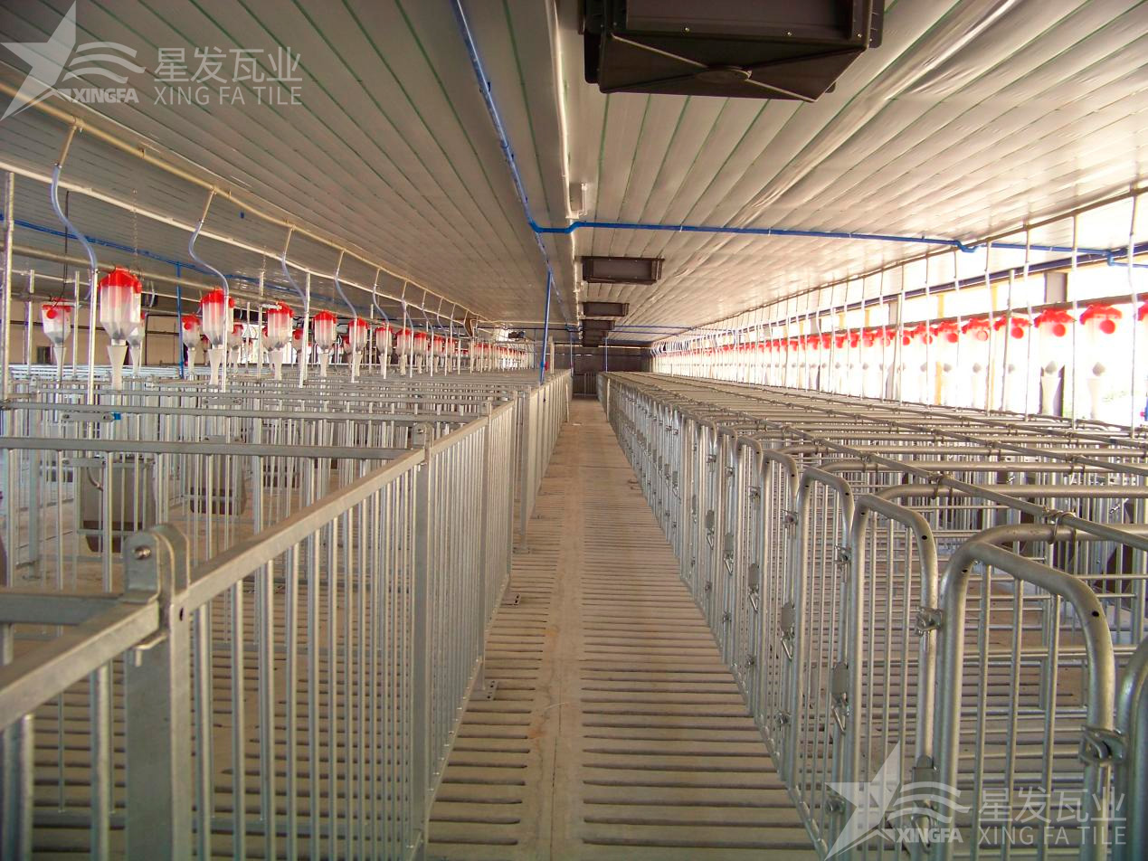 炎炎夏日即將來(lái)臨，為什么養(yǎng)殖場(chǎng)越來(lái)越多地選擇PVC瓦？