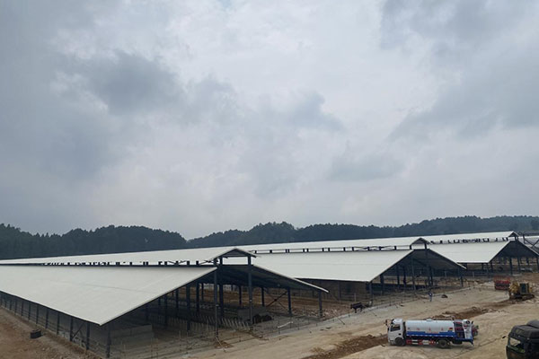 延長PVC瓦使用壽命的三大關(guān)鍵因素，千萬別忽視！